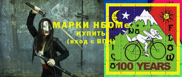 мдпв Иннополис
