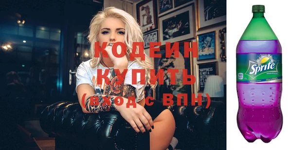 сатива Инта