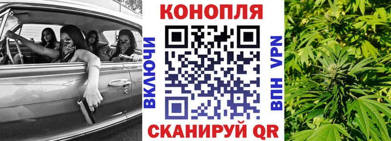 mega как войти  Евпатория  Бошки марихуана OG Kush 